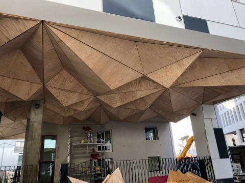 iphone 2019-3 032.JPG